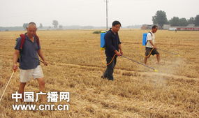 科技驅(qū)動(dòng)農(nóng)業(yè)革新 智能防治病蟲(chóng)害的新篇章