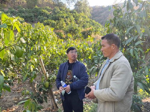 攀枝花民營(yíng)企業(yè)科技助農(nóng)，助力芒果產(chǎn)業(yè)提質(zhì)增產(chǎn)——聚焦農(nóng)業(yè)病蟲(chóng)害防治活動(dòng)