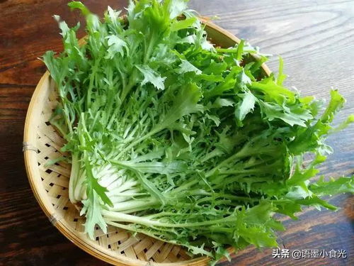 夏日養(yǎng)生必備 5種苦味食物清熱涼血，輕松度夏