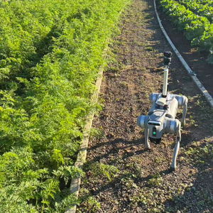 神農衛田機器狗助力雁棲鎮農業病蟲害防治