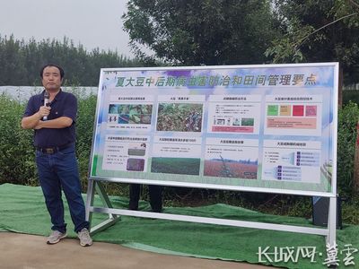 河北省大豆玉米帶狀復(fù)合種植突破百萬(wàn)畝，科技助力農(nóng)業(yè)病蟲害防治