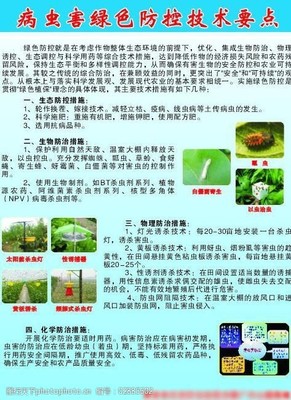 田間守護(hù)者 農(nóng)業(yè)病蟲害防治活動(dòng)紀(jì)實(shí)